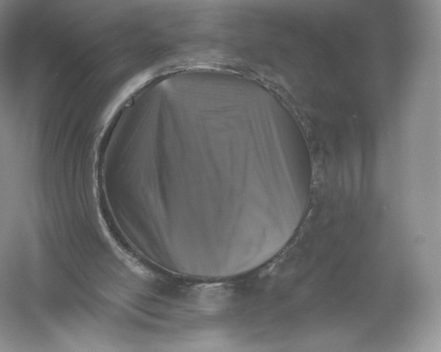 X0000055990054200509092030