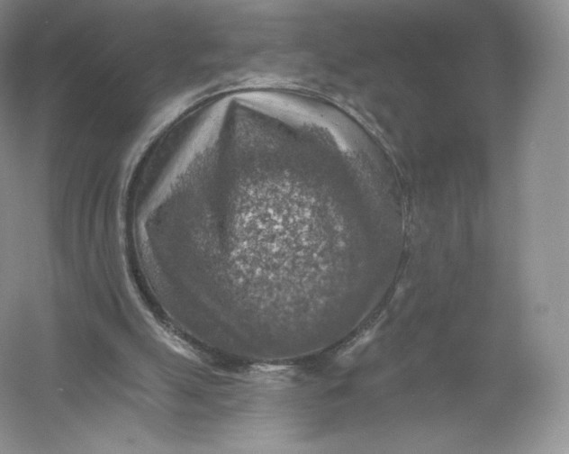 X0000055990055200509092030