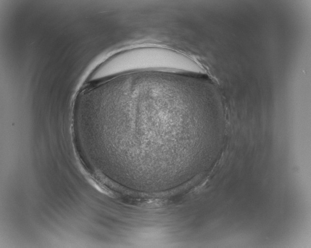 X0000055990056200509092030