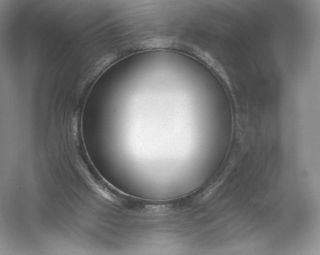 X0000055990057200509092030