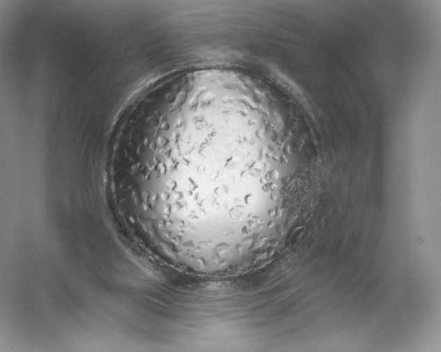 X0000055990059200509092030