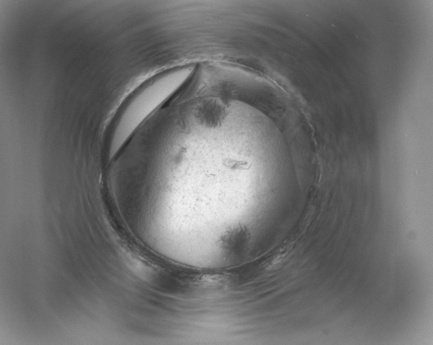 X0000055990060200509092030