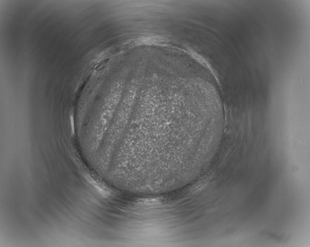 X0000055990061200509092030