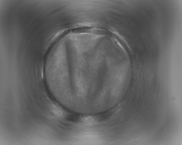 X0000055990062200509092030