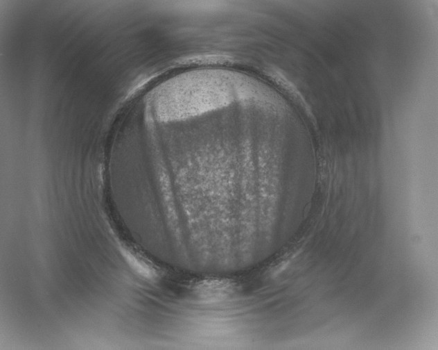 X0000055990063200509092030