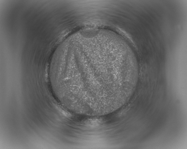 X0000055990065200509092030