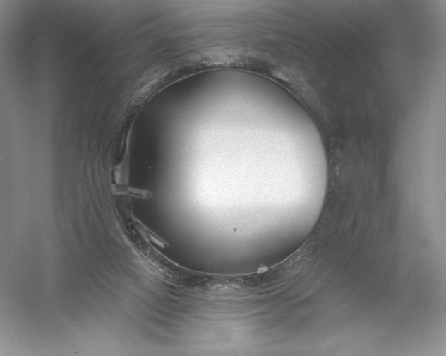 X0000055990066200509092030