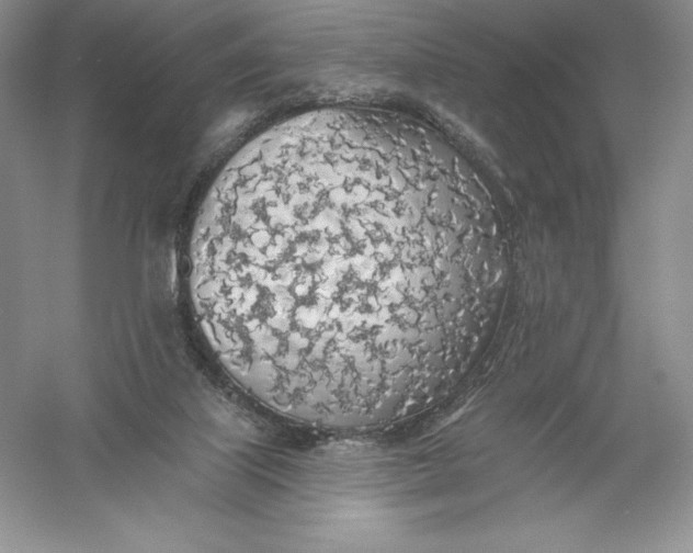 X0000055990067200509092030