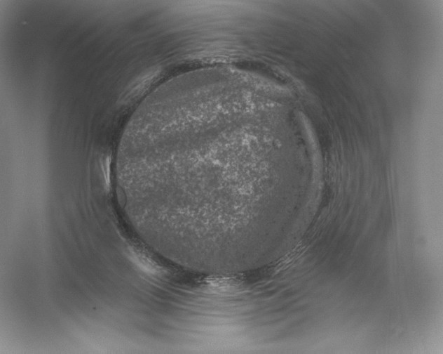 X0000055990070200509092030