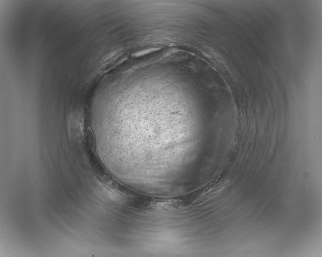 X0000055990072200509092030