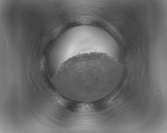 X0000055990073200509092030