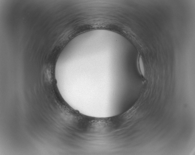 X0000055990074200509092030