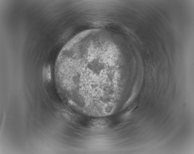 X0000055990075200509092030