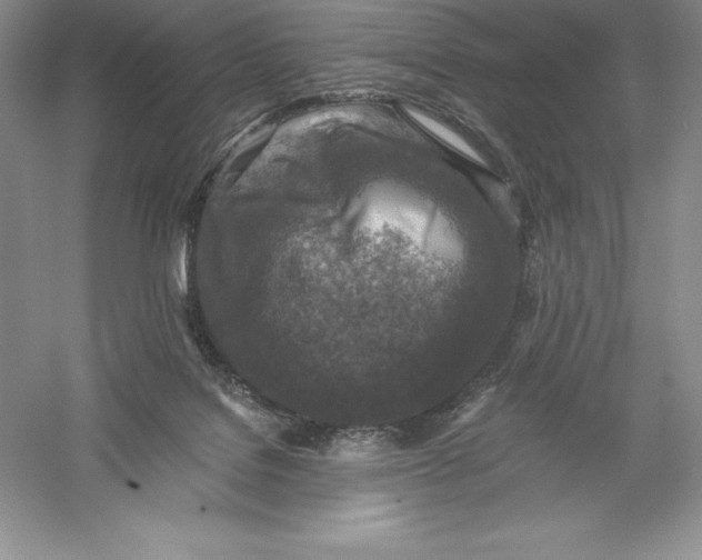 X0000055990076200509092030