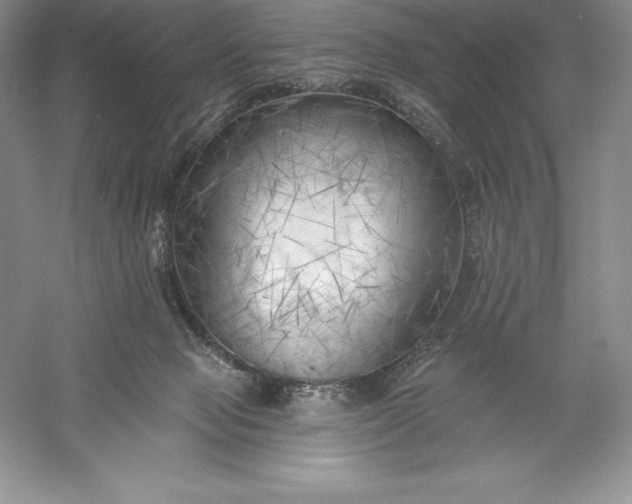 X0000055990077200509092031