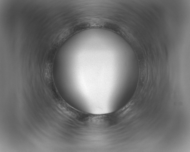 X0000055990078200509092031