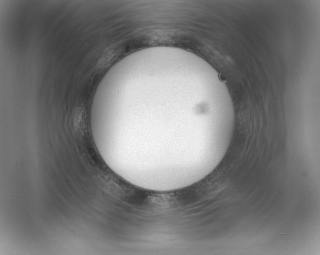 X0000055990079200509092031