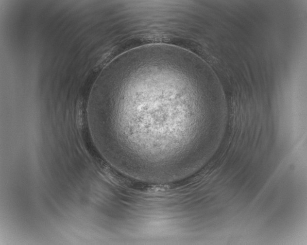 X0000055990080200509092031