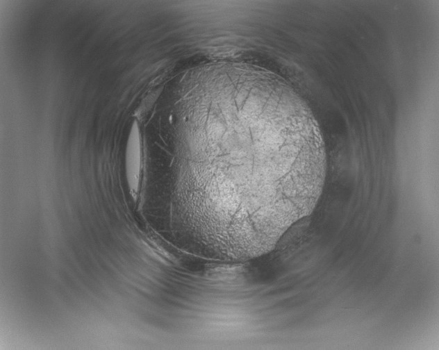 X0000055990081200509092031