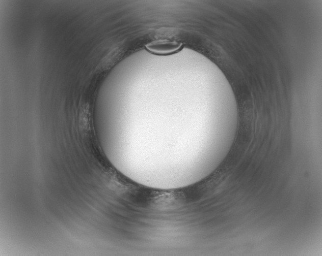 X0000055990083200509092031