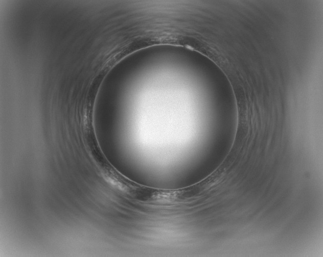 X0000055990084200509092031