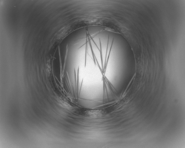 X0000055990085200509092031