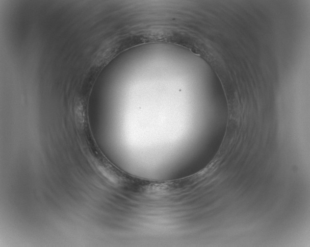 X0000055990086200509092031