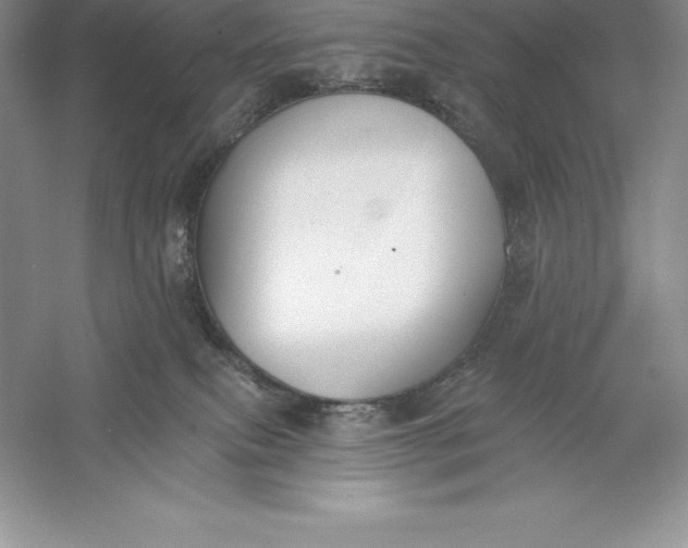 X0000055990087200509092031