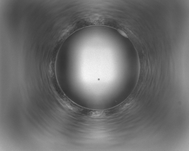 X0000055990088200509092031