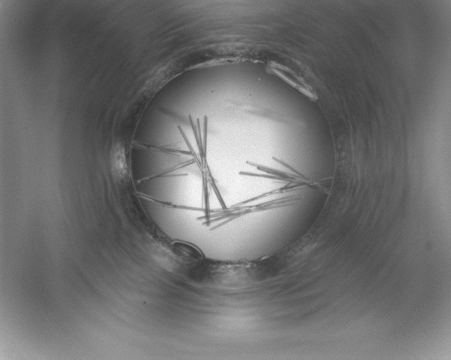 X0000055990089200509092031