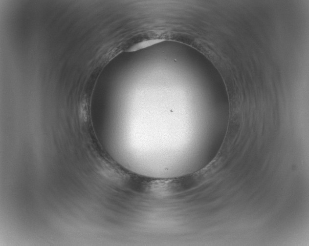 X0000055990090200509092031