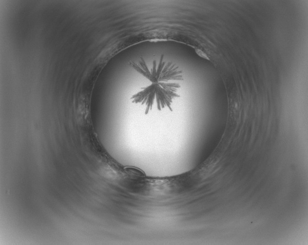 X0000055990091200509092031