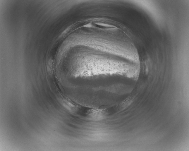 X0000055990093200509092031