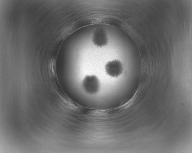 X0000055990094200509092031