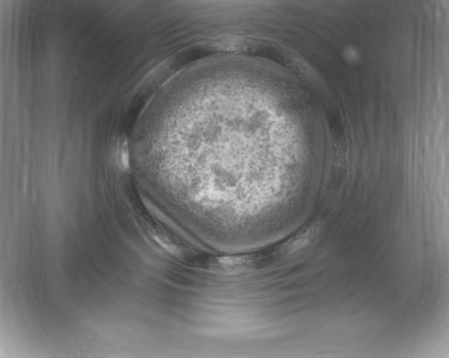 X0000055990095200509092031