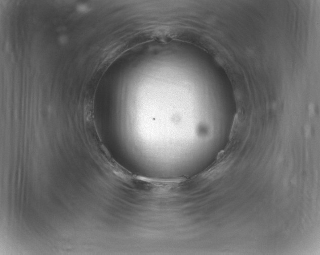 X0000055990096200509092031