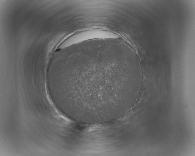 X0000055990097200509092030