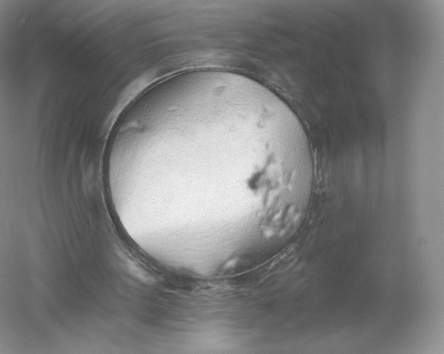 X0000055990099200509092030