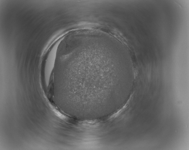 X0000055990101200509092030