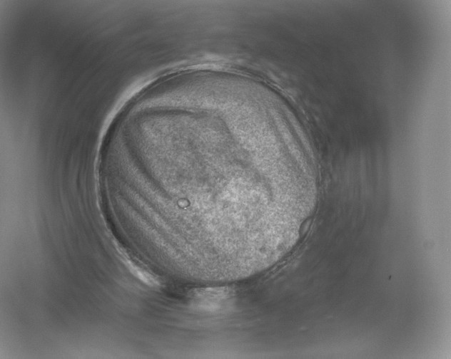 X0000055990102200509092030