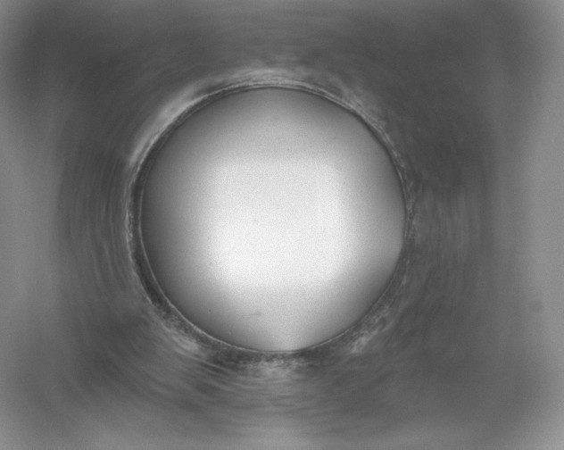 X0000055990103200509092030