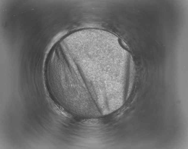 X0000055990104200509092030