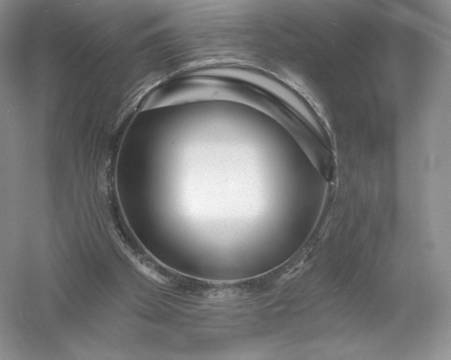 X0000055990105200509092030