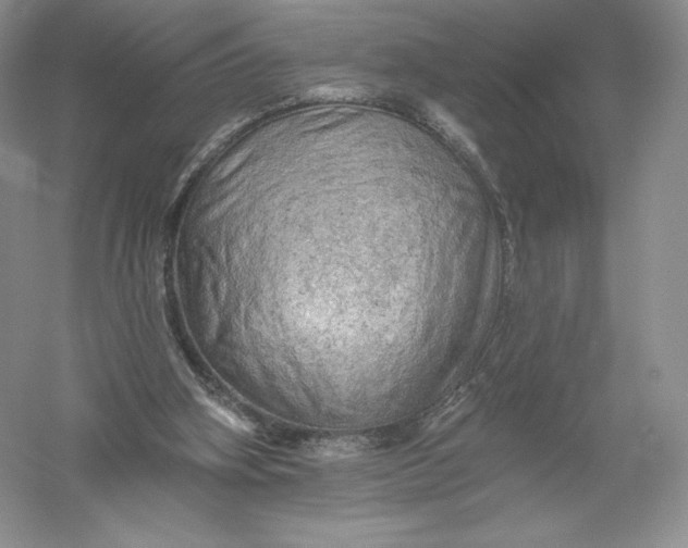 X0000055990106200509092030