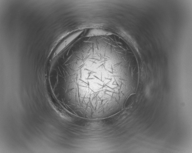 X0000055990107200509092030