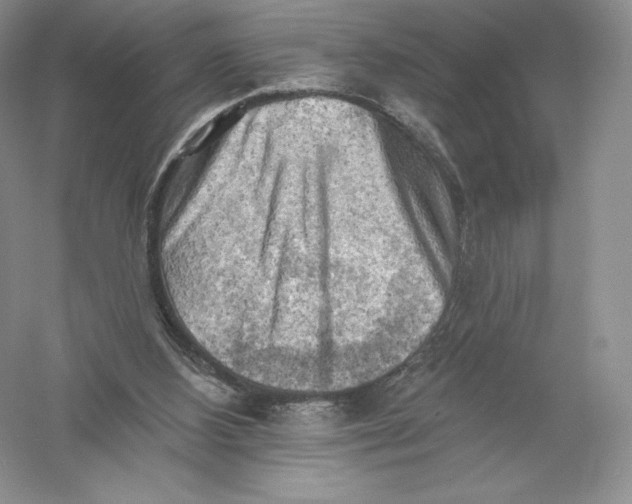 X0000055990108200509092030