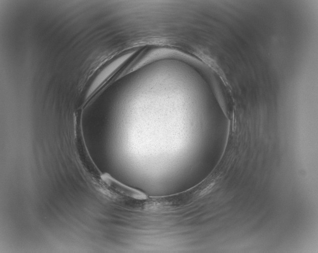 X0000055990109200509092030