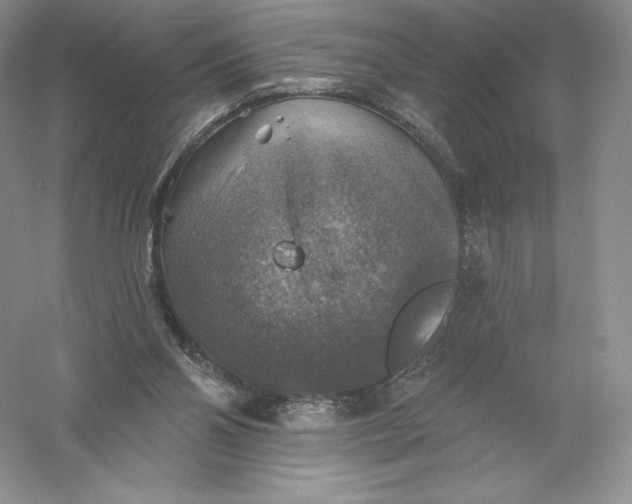 X0000055990110200509092030