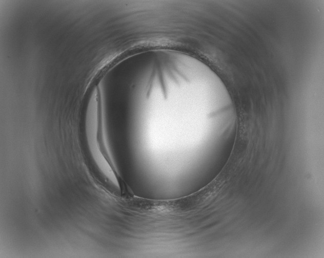 X0000055990111200509092030