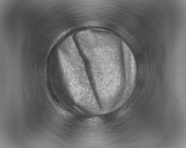 X0000055990112200509092030